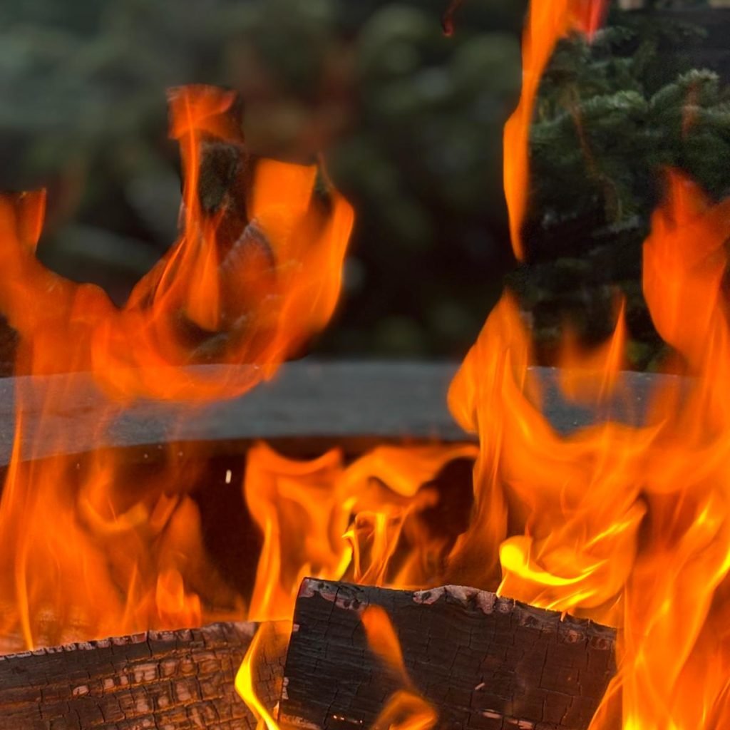 WhatsApp Image 2025-10-12 at 14.12.24 WhatsApp Image 2025-10-12 at 14.12.24